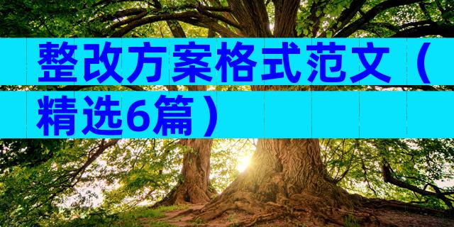整改方案格式范文（精选6篇）