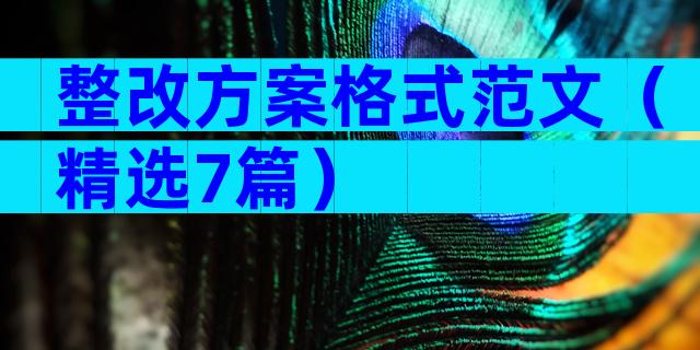 整改方案格式范文（精选7篇）