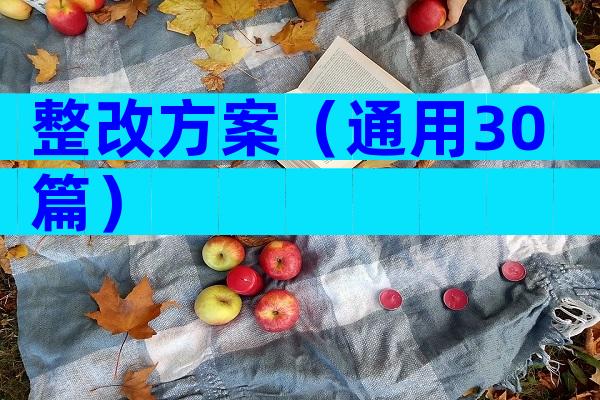 整改方案（通用30篇）