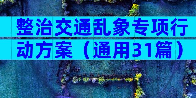 整治交通乱象专项行动方案（通用31篇）