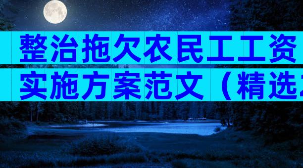 整治拖欠农民工工资实施方案范文（精选29篇）
