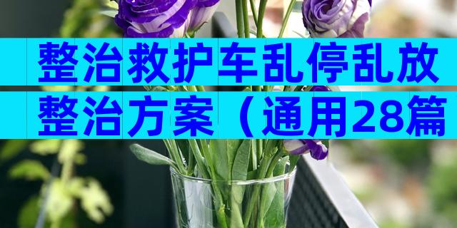 整治救护车乱停乱放整治方案（通用28篇）
