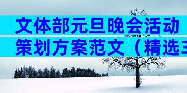 文体部元旦晚会活动策划方案范文（精选33篇）