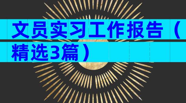 文员实习工作报告（精选3篇）