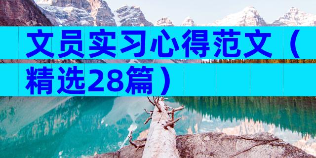 文员实习心得范文（精选28篇）