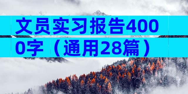 文员实习报告4000字（通用28篇）