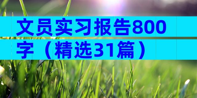 文员实习报告800字（精选31篇）