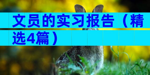 文员的实习报告（精选4篇）