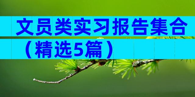 文员类实习报告集合（精选5篇）