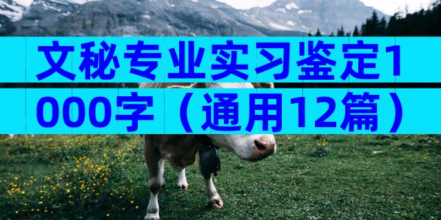 文秘专业实习鉴定1000字（通用12篇）