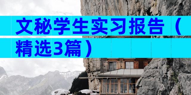 文秘学生实习报告（精选3篇）