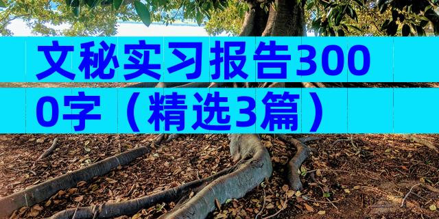 文秘实习报告3000字（精选3篇）