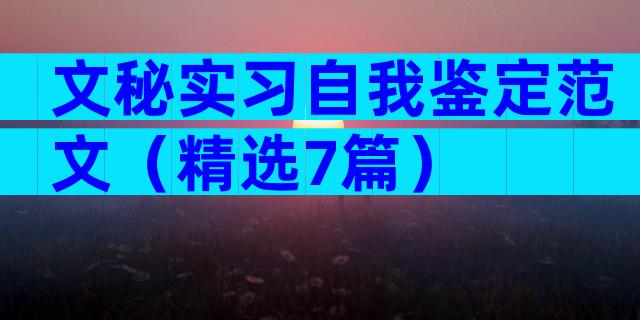 文秘实习自我鉴定范文（精选7篇）