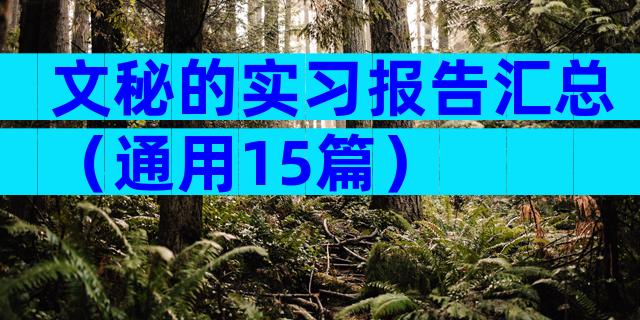文秘的实习报告汇总（通用15篇）
