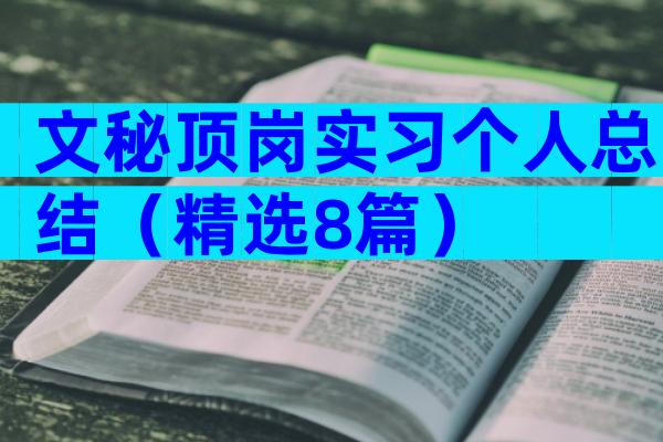 文秘顶岗实习个人总结（精选8篇）
