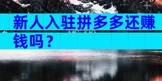 新人入驻拼多多还赚钱吗？