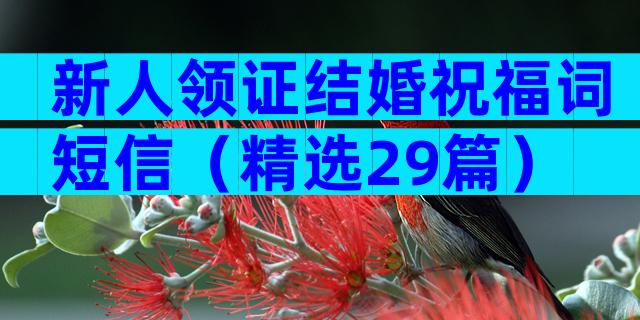 新人领证结婚祝福词短信（精选29篇）