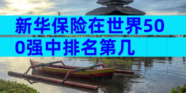 新华保险在世界500强中排名第几