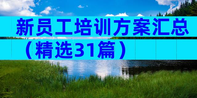 新员工培训方案汇总（精选31篇）