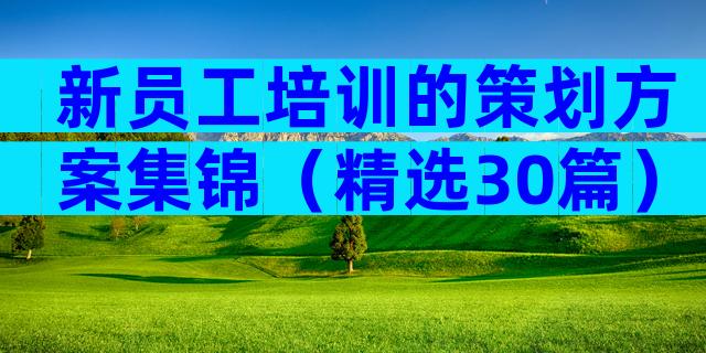 新员工培训的策划方案集锦（精选30篇）