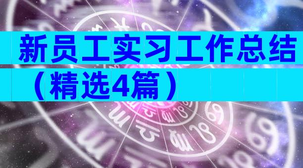 新员工实习工作总结（精选4篇）