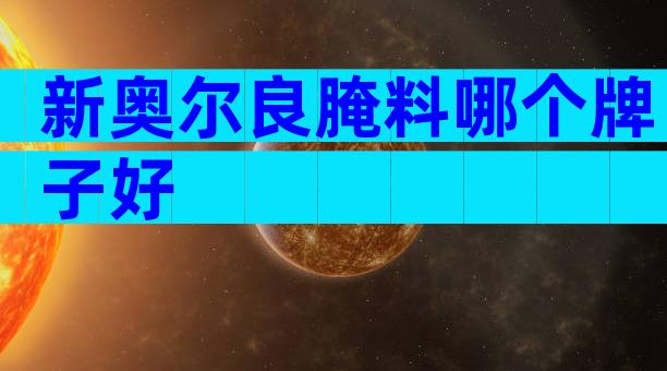 新奥尔良腌料哪个牌子好