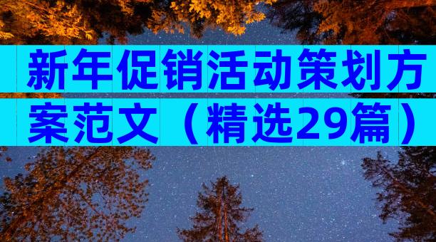 新年促销活动策划方案范文（精选29篇）