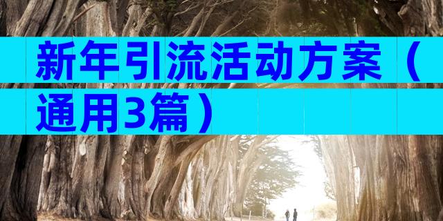 新年引流活动方案（通用3篇）
