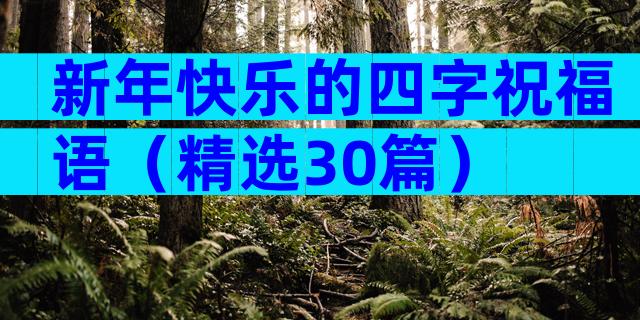新年快乐的四字祝福语（精选30篇）