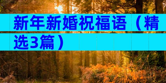 新年新婚祝福语（精选3篇）