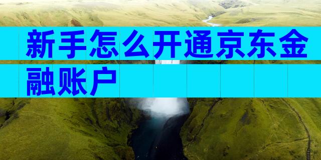 新手怎么开通京东金融账户