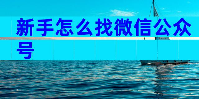 新手怎么找微信公众号