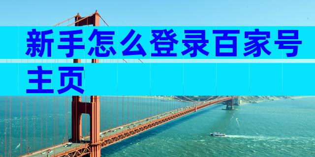 新手怎么登录百家号主页