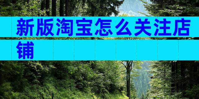 新版淘宝怎么关注店铺