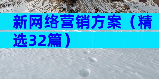 新网络营销方案（精选32篇）
