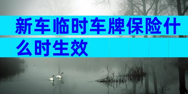 新车临时车牌保险什么时生效