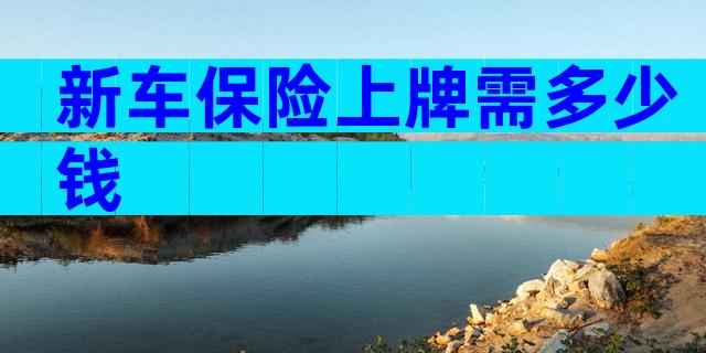 新车保险上牌需多少钱