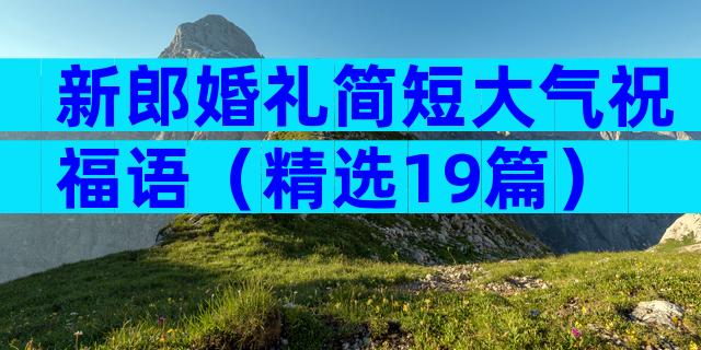 新郎婚礼简短大气祝福语（精选19篇）