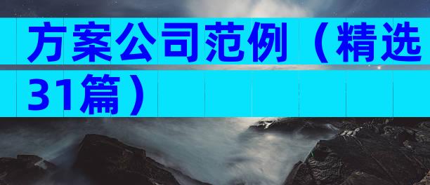 方案公司范例（精选31篇）