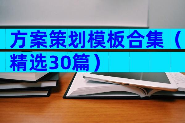 方案策划模板合集（精选30篇）