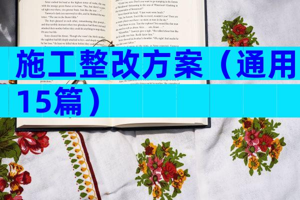 施工整改方案（通用15篇）