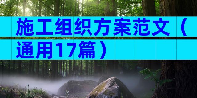 施工组织方案范文（通用17篇）