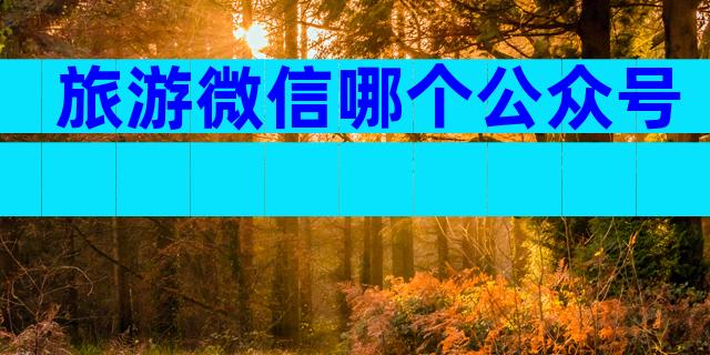 旅游微信哪个公众号