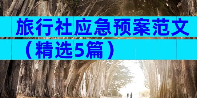 旅行社应急预案范文（精选5篇）