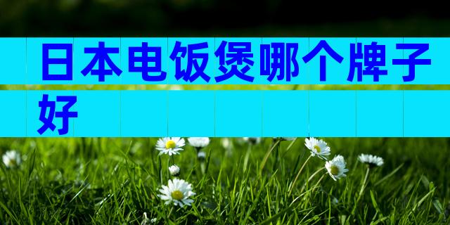 日本电饭煲哪个牌子好