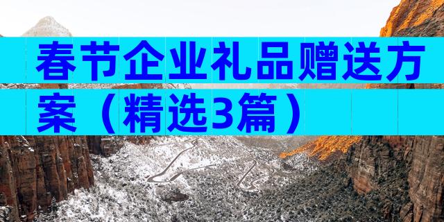 春节企业礼品赠送方案（精选3篇）