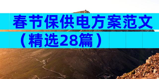 春节保供电方案范文（精选28篇）