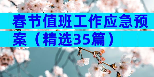春节值班工作应急预案（精选35篇）