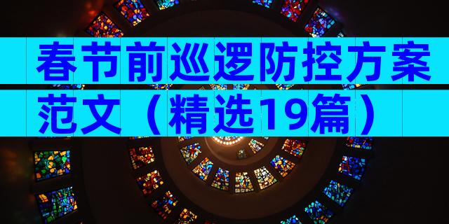 春节前巡逻防控方案范文（精选19篇）