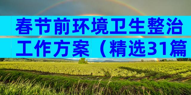 春节前环境卫生整治工作方案（精选31篇）